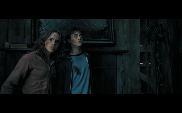 Harry Potter and the Prisoner of Azkaban - 979