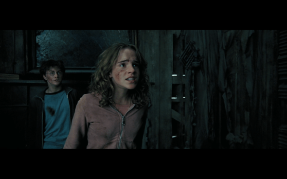 Harry Potter and the Prisoner of Azkaban - 981