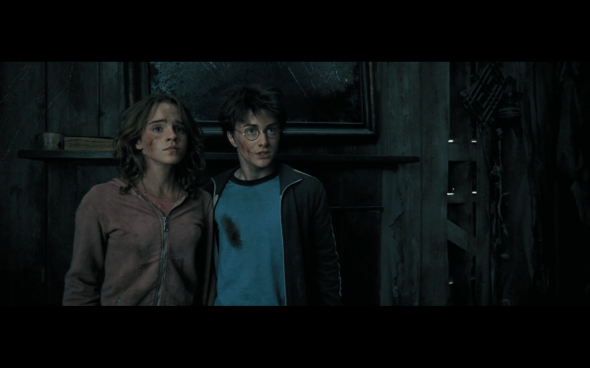 Harry Potter and the Prisoner of Azkaban - 991