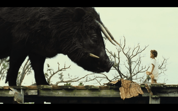 Beasts of the Southern Wild - 30
