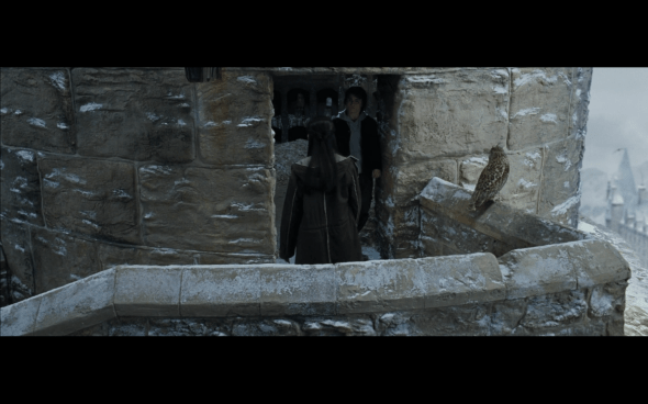 Harry Potter and the Goblet of Fire - 1002