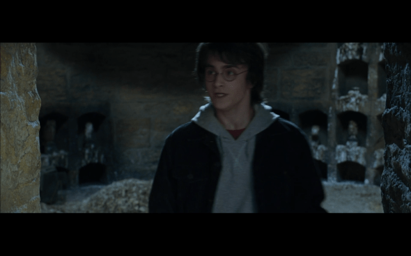 Harry Potter and the Goblet of Fire - 1004