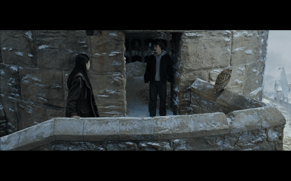 Harry Potter and the Goblet of Fire - 1009