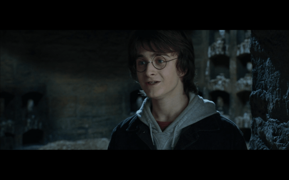 Harry Potter and the Goblet of Fire - 1010