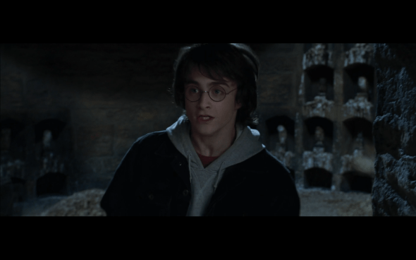 Harry Potter and the Goblet of Fire - 1013