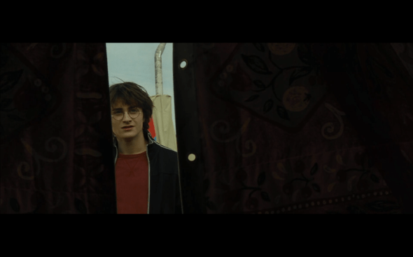 Harry Potter and the Goblet of Fire - 106