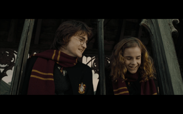 Harry Potter and the Goblet of Fire - 1130