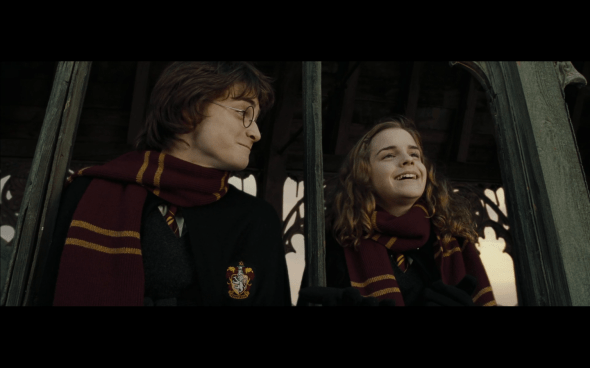 Harry Potter and the Goblet of Fire - 1131