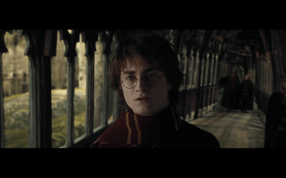 Harry Potter and the Goblet of Fire - 1139