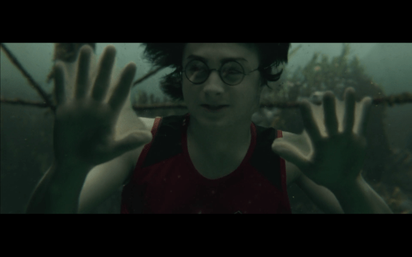 Harry Potter and the Goblet of Fire - 1192