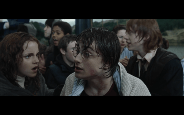 Harry Potter and the Goblet of Fire - 1230