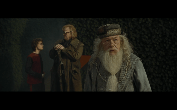 Harry Potter and the Goblet of Fire - 1320