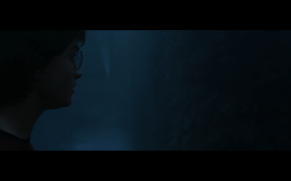 Harry Potter and the Goblet of Fire - 1329