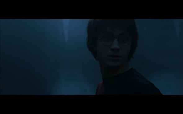 Harry Potter and the Goblet of Fire - 1330