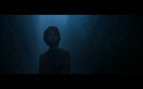 Harry Potter and the Goblet of Fire - 1336