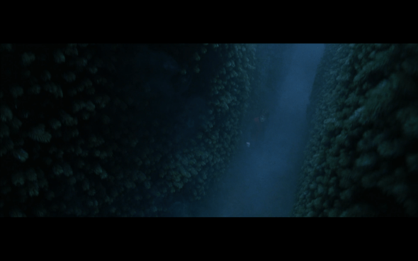 Harry Potter and the Goblet of Fire - 1345