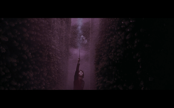 Harry Potter and the Goblet of Fire - 1348