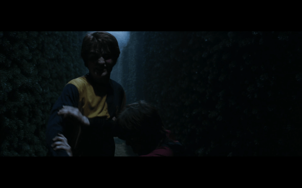 Harry Potter and the Goblet of Fire - 1356