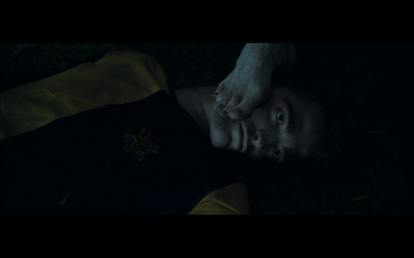 Harry Potter and the Goblet of Fire - 1449