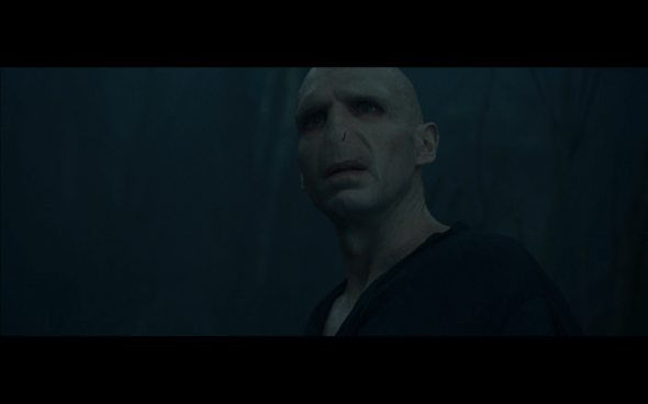 Harry Potter and the Goblet of Fire - 1451