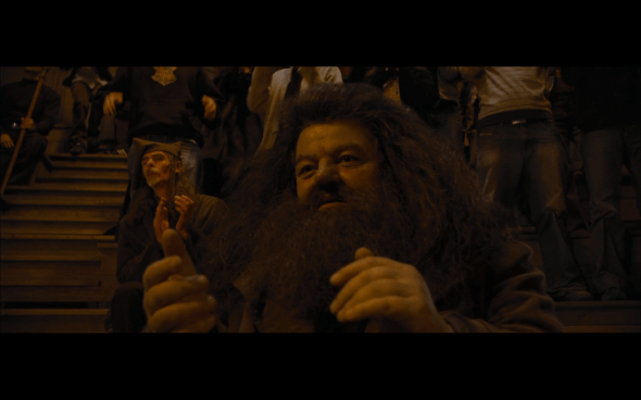 Harry Potter and the Goblet of Fire - 1539