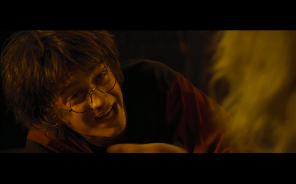 Harry Potter and the Goblet of Fire - 1545