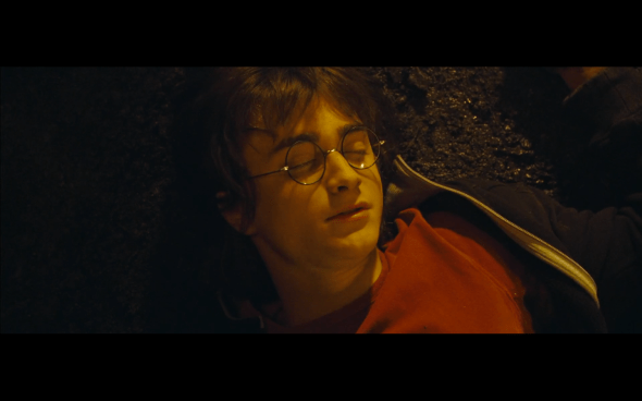 Harry Potter and the Goblet of Fire - 183