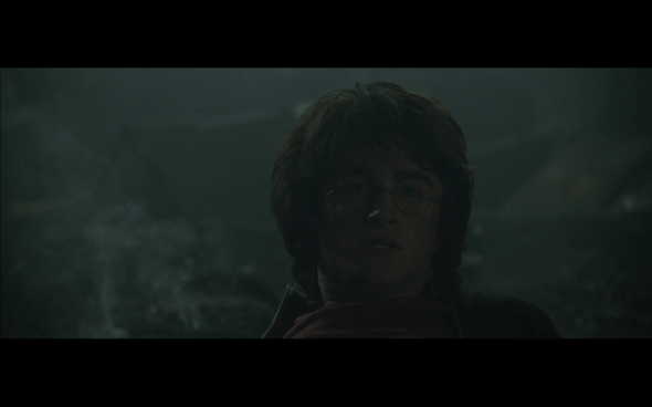 Harry Potter and the Goblet of Fire - 196