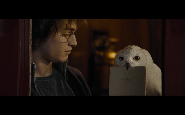 Harry Potter and the Goblet of Fire - 243