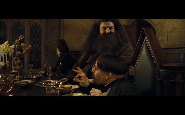 Harry Potter and the Goblet of Fire - 323