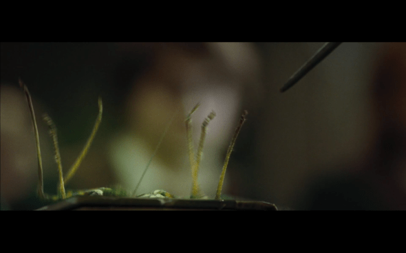 Harry Potter and the Goblet of Fire - 425