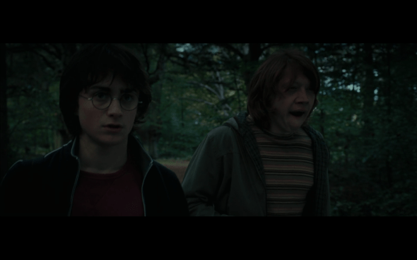 Harry Potter and the Goblet of Fire - 50