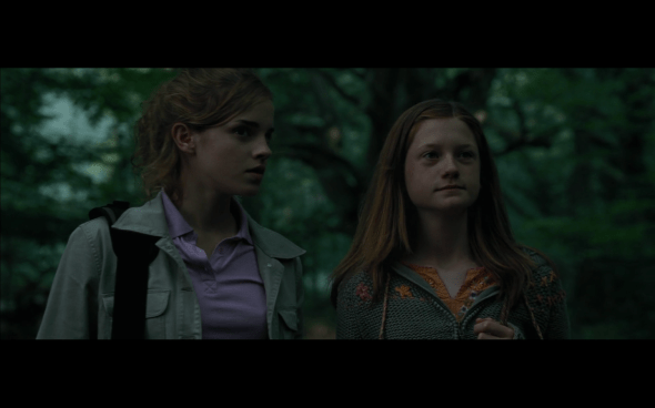 Harry Potter and the Goblet of Fire - 55