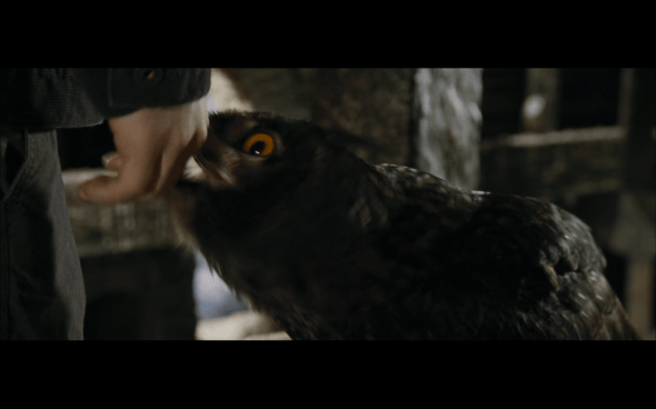 Harry Potter and the Goblet of Fire - 628