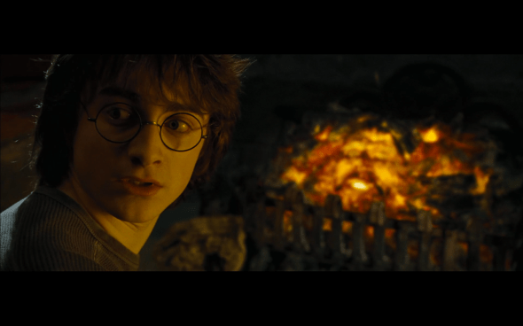 Harry Potter and the Goblet of Fire - 645