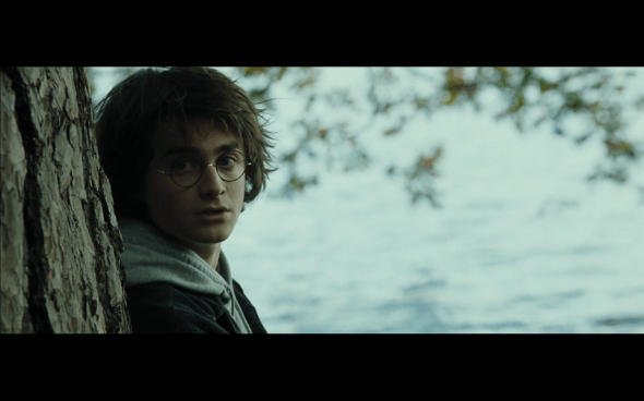 Harry Potter and the Goblet of Fire - 653