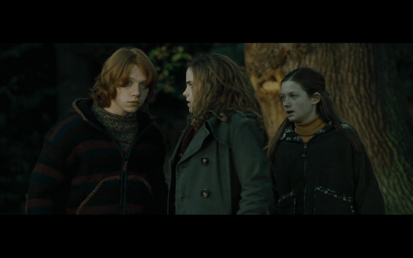 Harry Potter and the Goblet of Fire - 654