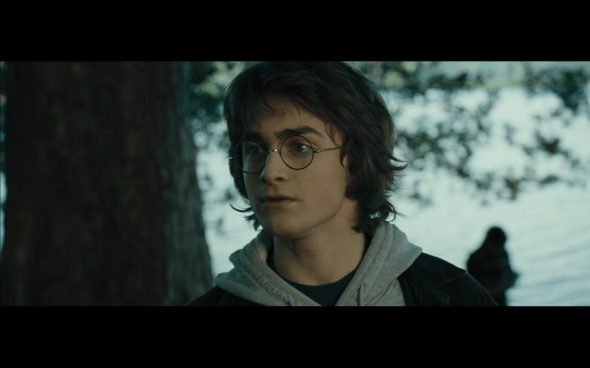Harry Potter and the Goblet of Fire - 658