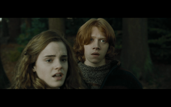 Harry Potter and the Goblet of Fire - 662