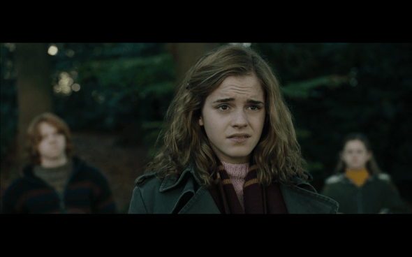 Harry Potter and the Goblet of Fire - 663