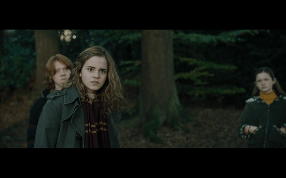 Harry Potter and the Goblet of Fire - 665