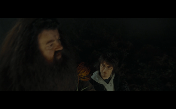 Harry Potter and the Goblet of Fire - 669