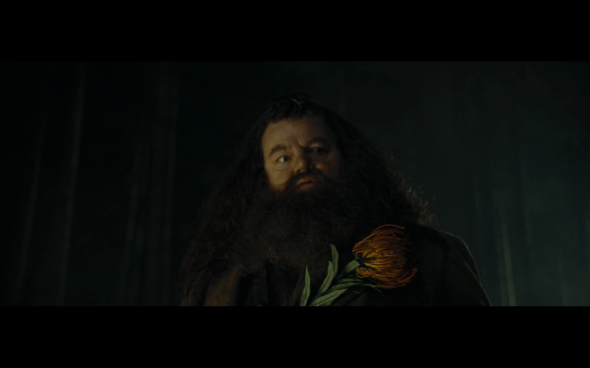 Harry Potter and the Goblet of Fire - 671