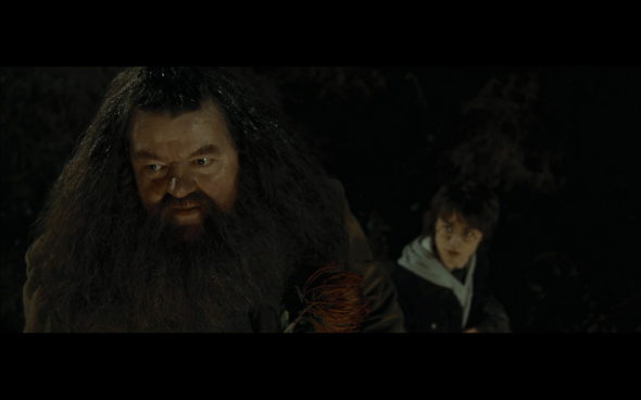 Harry Potter and the Goblet of Fire - 672