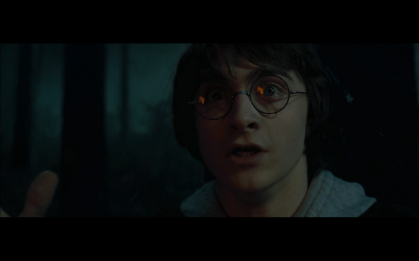 Harry Potter and the Goblet of Fire - 682