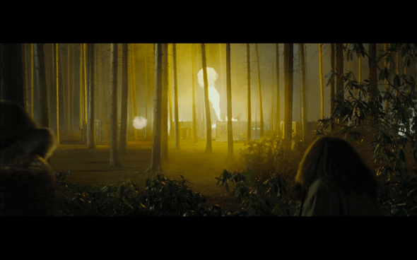 Harry Potter and the Goblet of Fire - 683