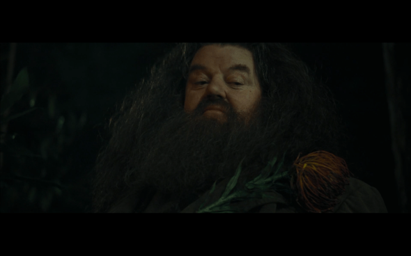 Harry Potter and the Goblet of Fire - 689