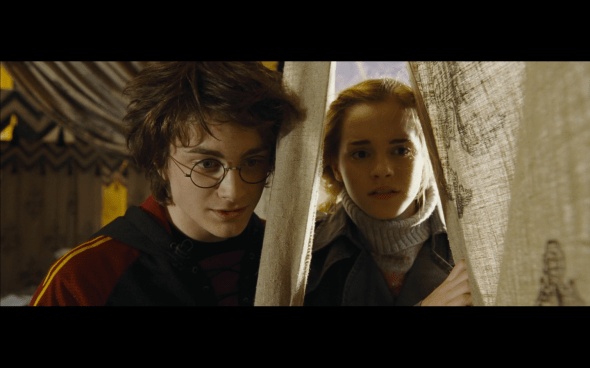 Harry Potter and the Goblet of Fire - 748