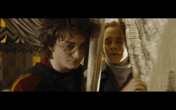 Harry Potter and the Goblet of Fire - 751