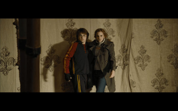 Harry Potter and the Goblet of Fire - 756